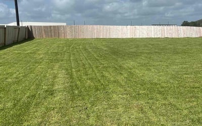 Photo of John M.'s yard after getting lawn care in Richmond, CA