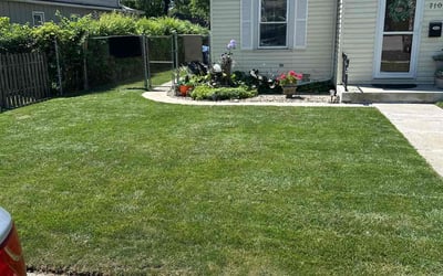 Photo of Anthony M.'s yard after getting lawn care in Morris, IL