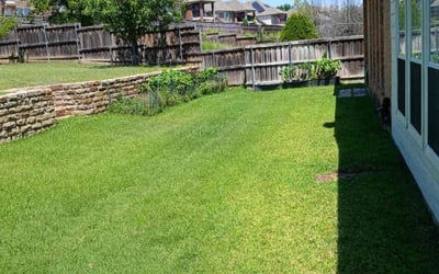Photo of Brett & Angie H.'s yard after getting lawn care in Irving, TX