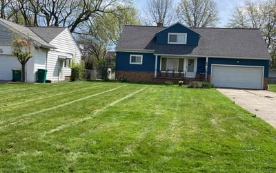 Photo of Kay S.'s yard after getting lawn care in Lagrange, OH