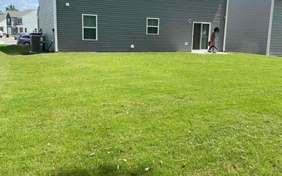 Photo of Mark J.'s yard after getting lawn care in Santa Fe, TX
