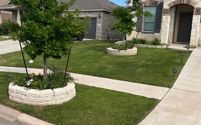 Photo of Demetri M.'s yard after getting lawn care in Taylor, TX