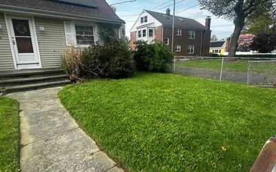 Photo of Chad C.'s yard after getting lawn care in Bridgeport, CT