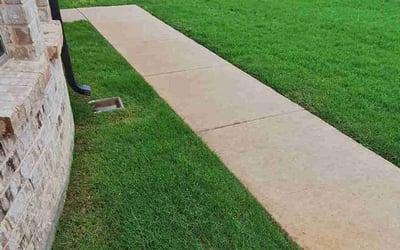 Photo of Randi E.'s yard after getting lawn care in Port Washington, NY