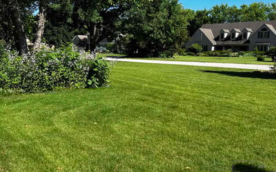 Photo of Tina C.'s yard after getting lawn care in Pewaukee, WI