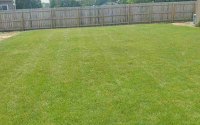 Photo of Chrissy P.'s yard after getting lawn care in Medina, OH