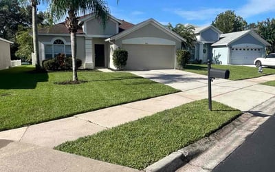 Photo of Derick N.'s yard after getting lawn care in Sebring, FL