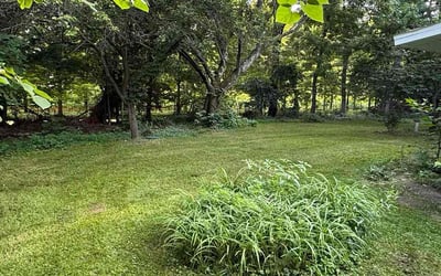Photo of Tina A.'s yard after getting lawn care in Hopatcong, NJ