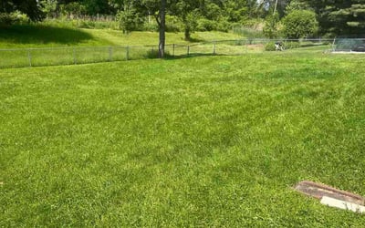 Photo of Jeremy O.'s yard after getting lawn care in Lockhart, TX