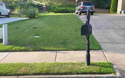Photo of Niketa W.'s yard after getting lawn care in Dallas, GA