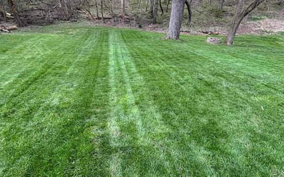Photo of Jennifer L.'s yard after getting lawn care in Pittsburgh, PA