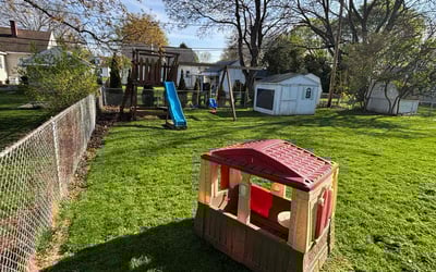 Photo of Shelley V.'s yard after getting lawn care in Newark, NY