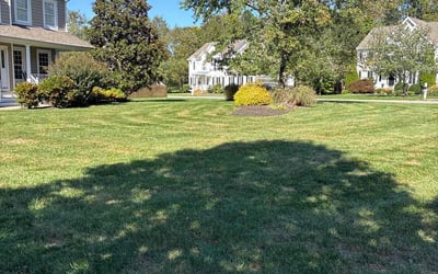 Photo of Diana A.'s yard after getting lawn care in Roselle Park, NJ