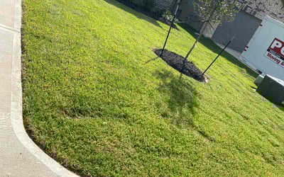 Photo of Timothy R.'s yard after getting lawn care in Willis, TX