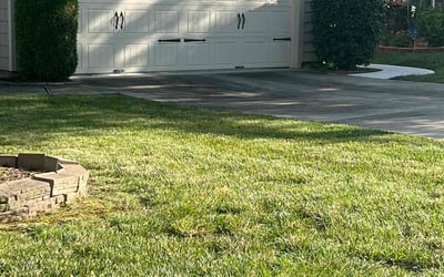 Photo of Jeffrey S.'s yard after getting tree care in Easton, PA