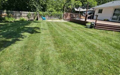 Photo of Howard C.'s yard after getting lawn care in Downers Grove, IL