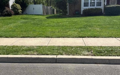 Photo of Rachel K.'s yard after getting lawn care in Morrisville, PA