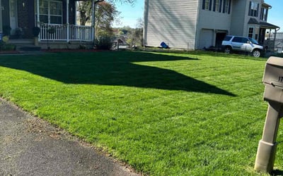 Photo of Karen S.'s yard after getting lawn care in Dracut, MA