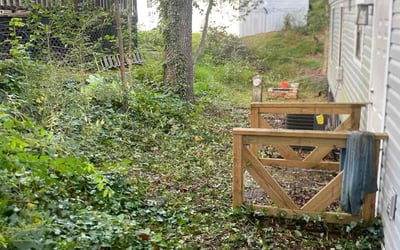 Photo of Gloria G.'s yard after getting lawn care in Jefferson City, MO