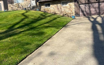 Photo of Tamara W.'s yard after getting lawn care in Mogadore, OH