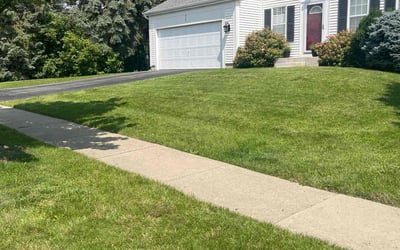 Photo of Staci O.'s yard after getting lawn care in Mundelein, IL