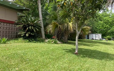 Photo of Matthew R.'s yard after getting lawn care in Monticello, FL
