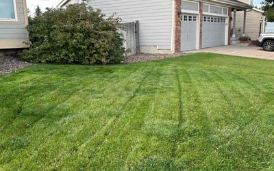 Photo of Aaron C.'s yard after getting lawn care in Castle Pines, CO