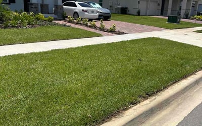 Photo of Lora J.'s yard after getting lawn care in Conroe, TX