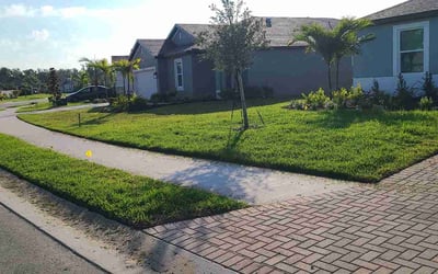 Photo of Carol M.'s yard after getting lawn care in Chapin, SC