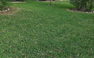 Photo of Madhavan R.'s yard after getting lawn care in Grapevine, TX