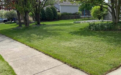 Photo of Ethel W.'s yard after getting lawn care in Calumet, IL