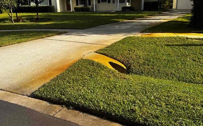 Photo of Thomas R.'s yard after getting lawn care in Palm Beach Gardens, FL
