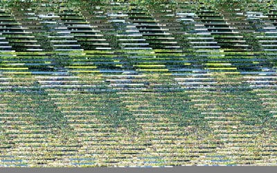 Photo of Barbara G.'s yard after getting lawn care in Tiverton, RI