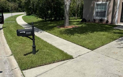 Photo of Maria R.'s yard after getting lawn care in Land O' Lakes, FL