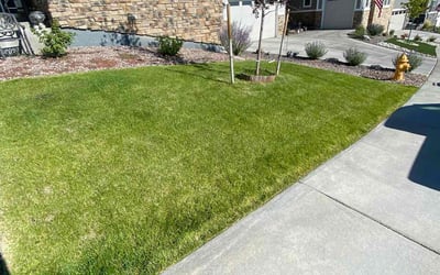 Photo of Felicia P.'s yard after getting lawn care in Castle Rock, CO