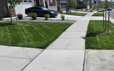 Photo of Lee L.'s yard after getting lawn care in Olmsted Falls, OH