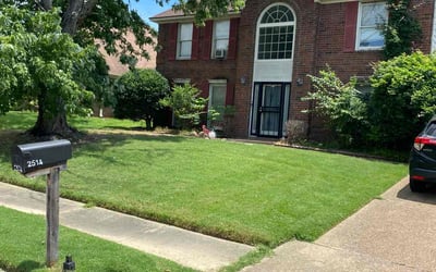 Photo of Sterling H.'s yard after getting lawn care in Somerville, TN