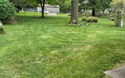 Photo of MJ M.'s yard after getting lawn care in Lansdale, PA