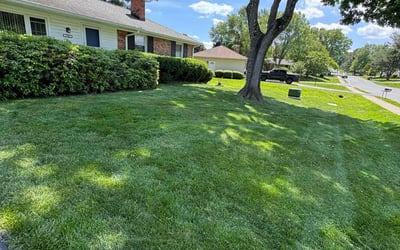 Photo of Chris H.'s yard after getting lawn care in Olney, MD