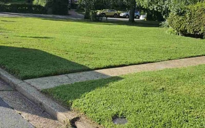 Photo of Jennie T.'s yard after getting lawn care in Horn Lake, MS