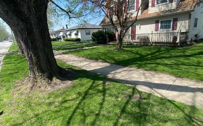 Photo of Adam S.'s yard after getting lawn care in Highland, IN