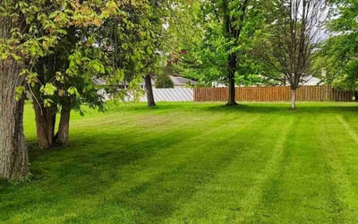 Photo of Jill B.'s yard after getting lawn care in Davison, MI