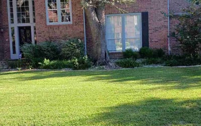 Photo of David Y.'s yard after getting lawn care in Decatur, TX