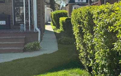 Photo of Matthew O.'s yard after getting lawn care in Cudahy, WI