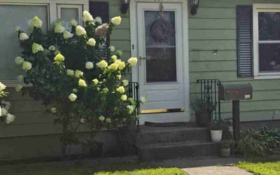 Photo of Michael P.'s yard after getting lawn care in Milford, MA