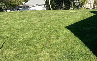 Photo of Alan L.'s yard after getting lawn care in Kansas City, MO
