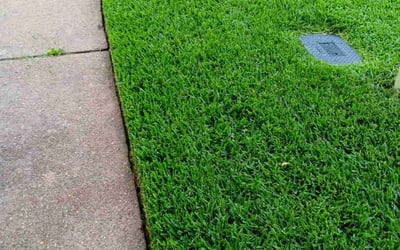 Photo of Rebecca P.'s yard after getting lawn care in Ocean Springs, MS