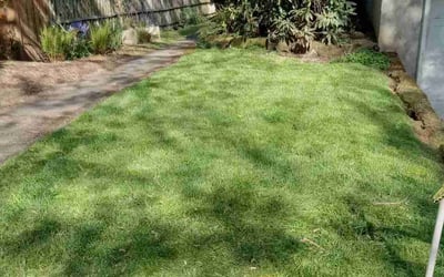 Photo of Ashley S.'s yard after getting lawn care in Clackamas, OR
