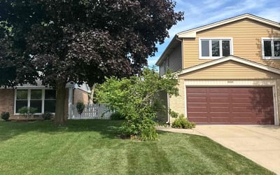 Photo of Ryan M.'s yard after getting lawn care in Arlington Heights, IL