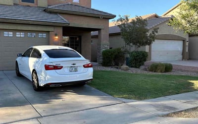 Photo of Dean M.'s yard after getting lawn care in Sun City, AZ